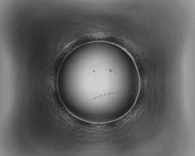 X0000115531205200911061433