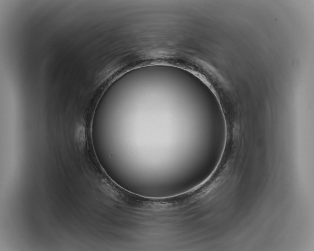 X0000115531209200911061433