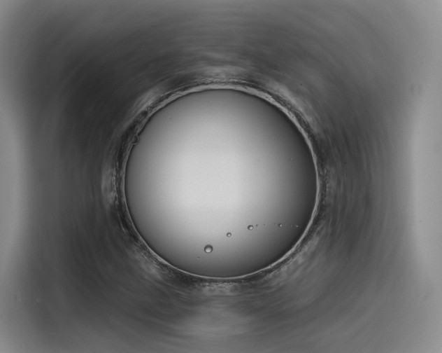 X0000115531211200911061433
