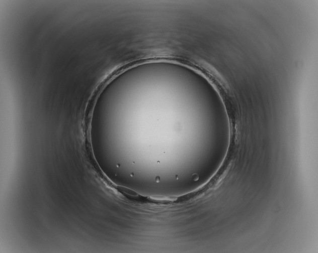 X0000115531212200911061433