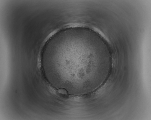X0000115531213200911061433