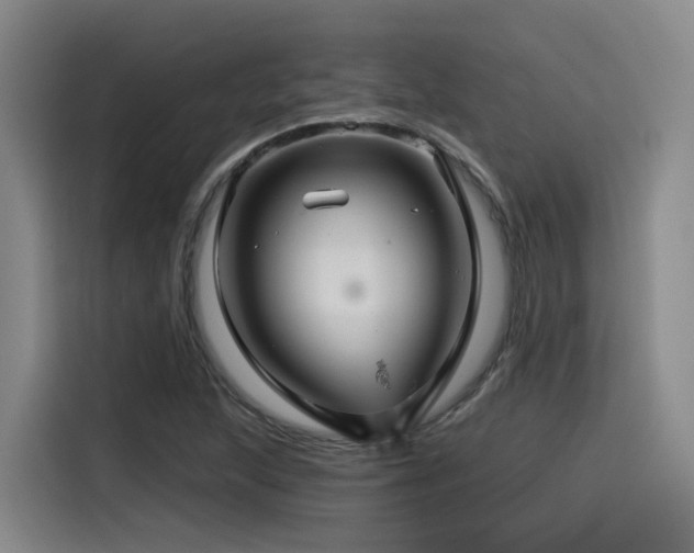 X0000115531215200911061433