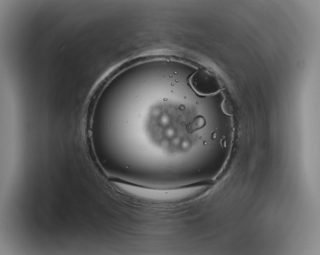 X0000115531216200911061433