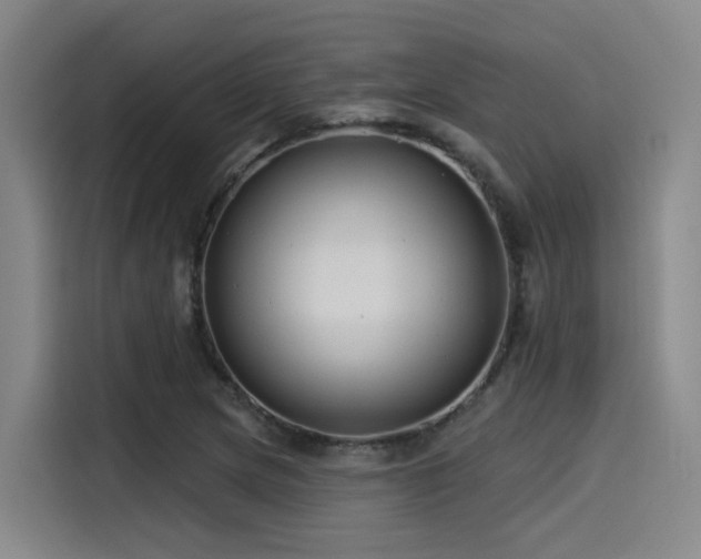 X0000115531217200911061433