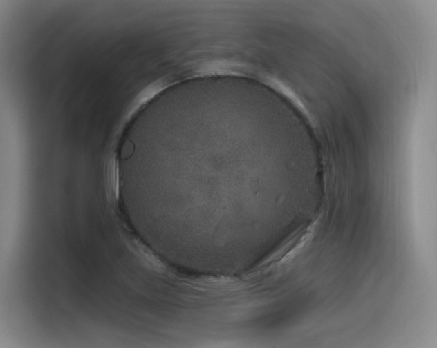 X0000115531219200911061433