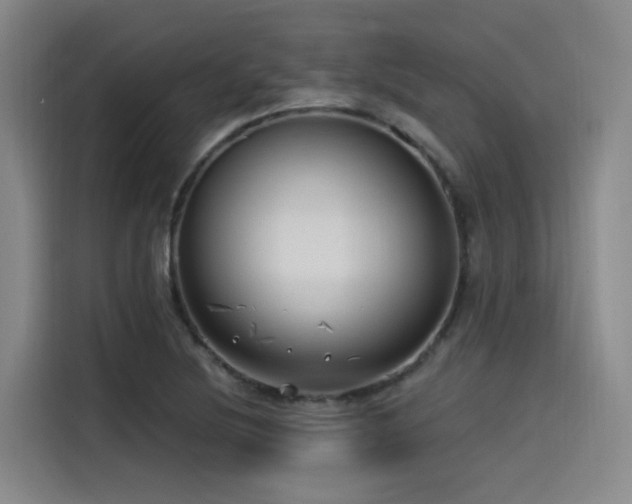 X0000115531220200911061433