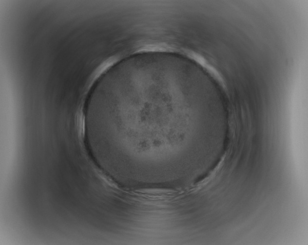 X0000115531221200911061433