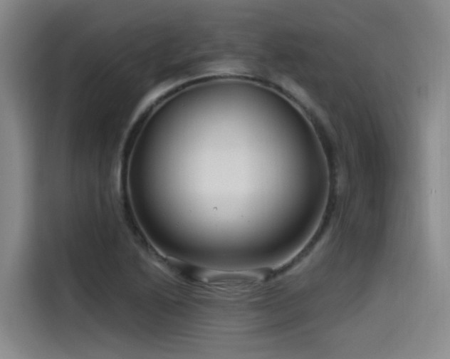 X0000115531222200911061433