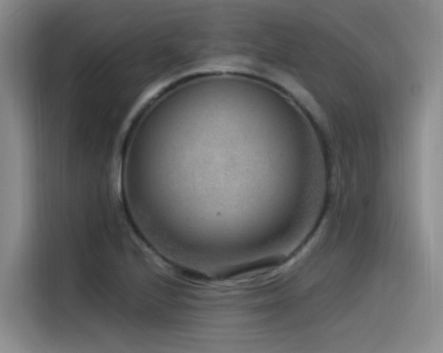 X0000115531224200911061433