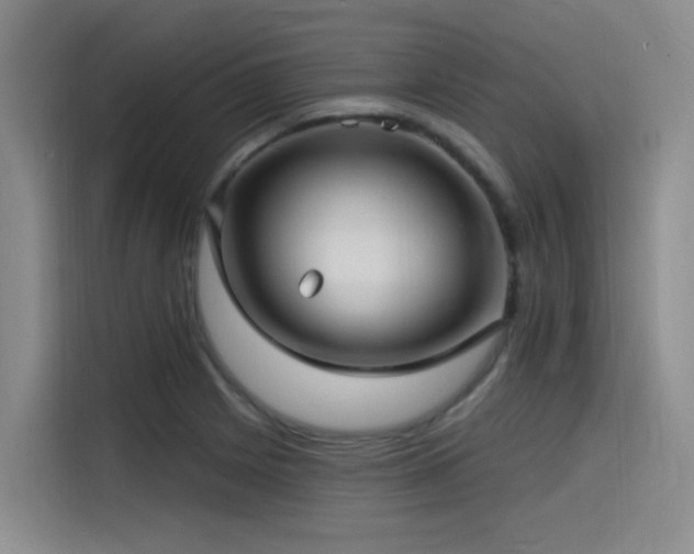 X0000115531225200911061433
