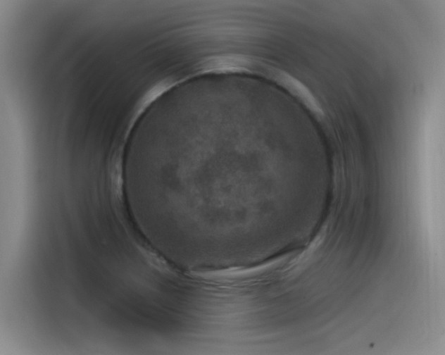 X0000115531226200911061433