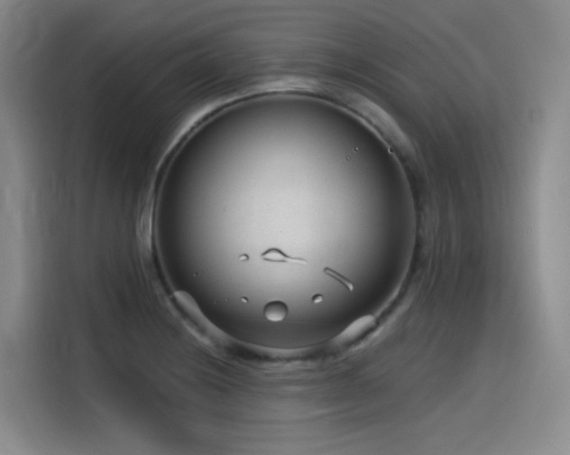 X0000115531228200911061433