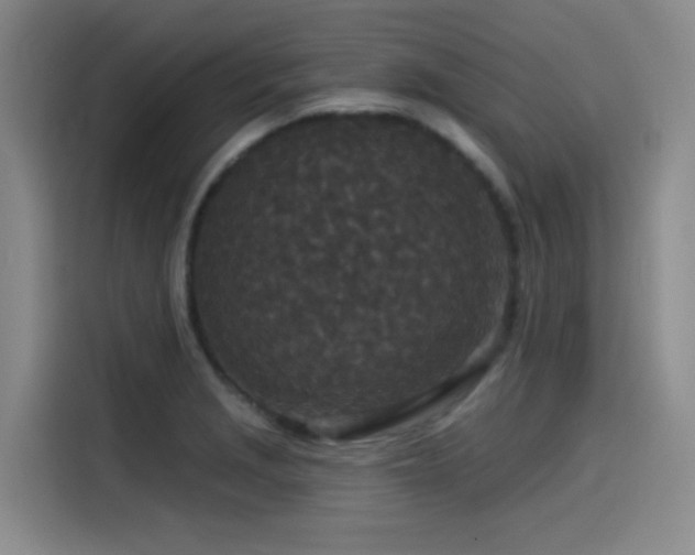 X0000115531229200911061433