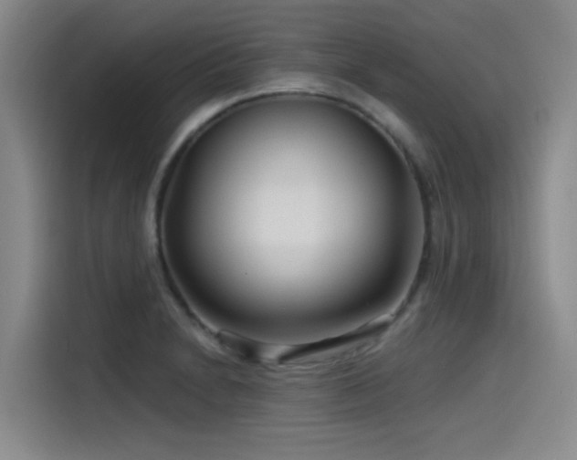 X0000115531230200911061433