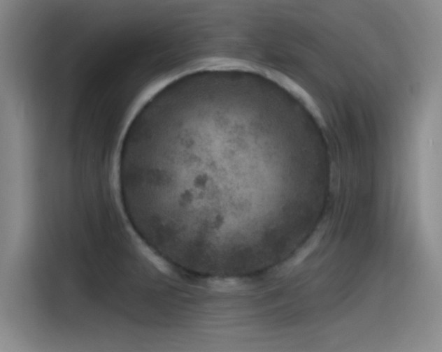 X0000115531231200911061434