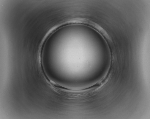 X0000115531232200911061434
