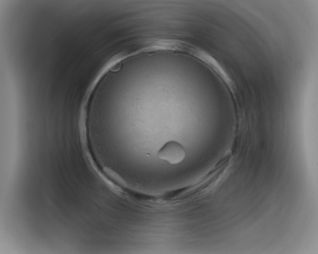 X0000115531235200911061434