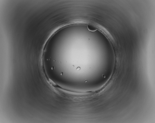 X0000115531236200911061434
