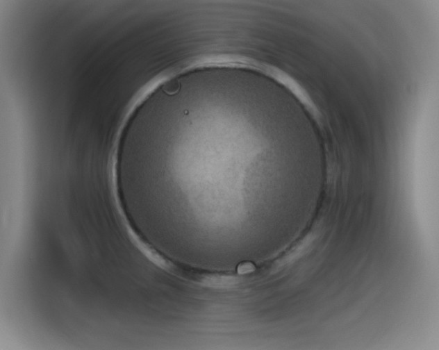 X0000115531237200911061434