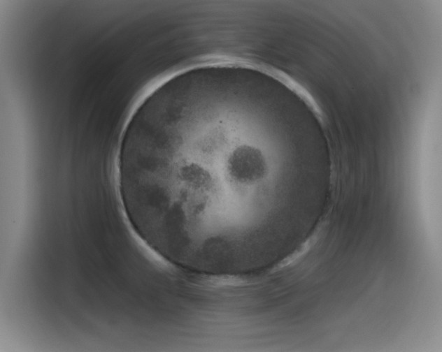 X0000115531239200911061434