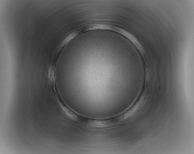 X0000115531241200911061434