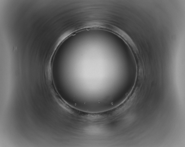 X0000115531242200911061434