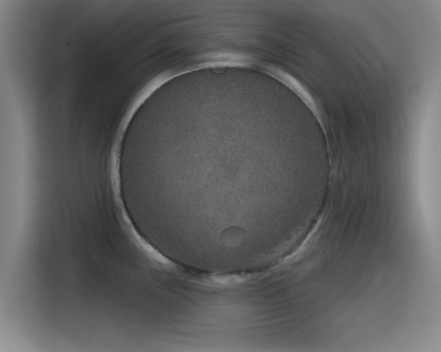 X0000115531243200911061434
