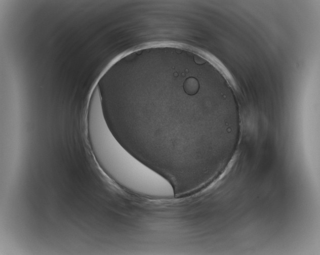 X0000115531244200911061434