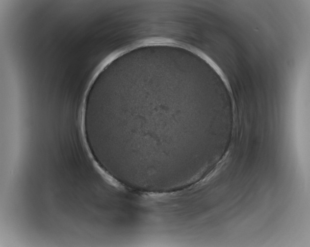 X0000115531245200911061434