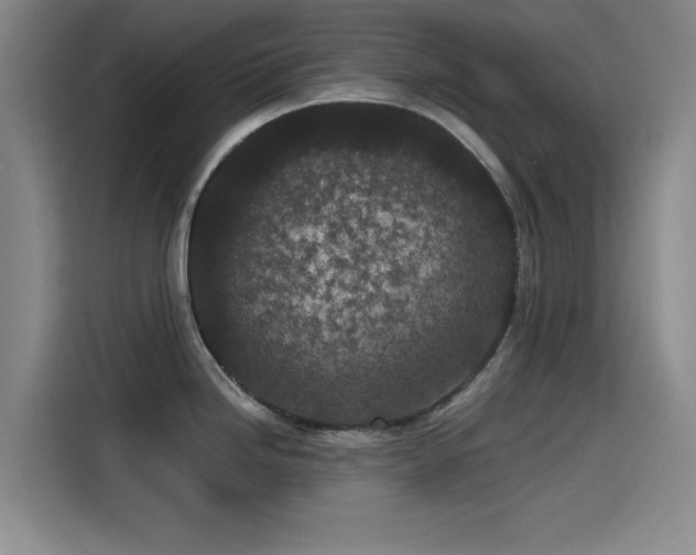 X0000115531246200911061434