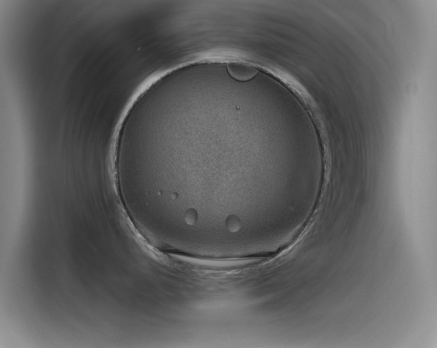 X0000115531248200911061434