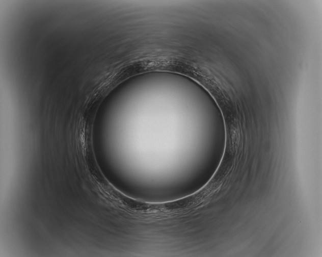 X0000115531250200911061433