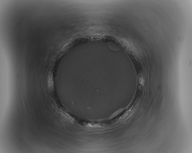 X0000115531252200911061433