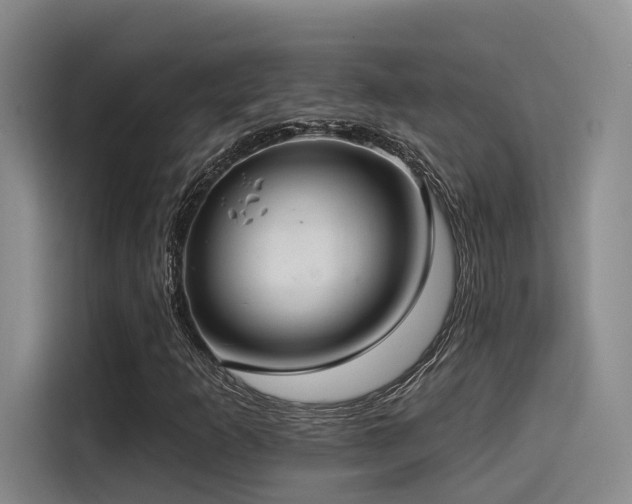X0000115531253200911061433