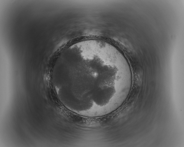 X0000115531254200911061433