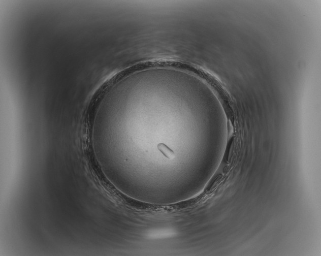 X0000115531255200911061433