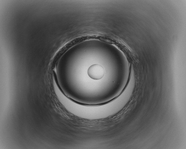 X0000115531256200911061433