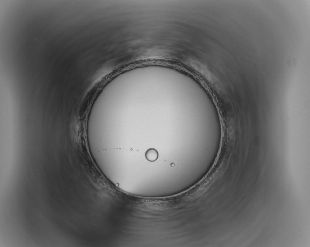 X0000115531258200911061433