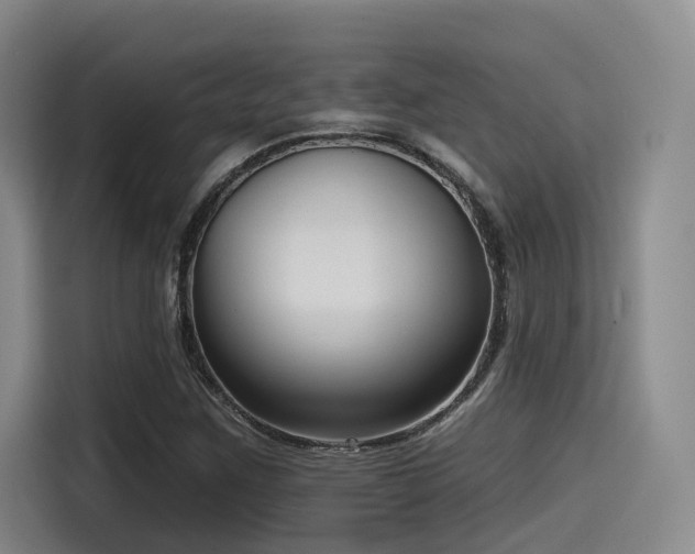 X0000115531259200911061433