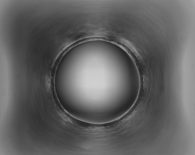 X0000115531260200911061433