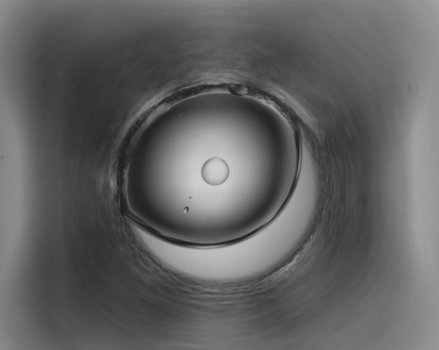 X0000115531261200911061433