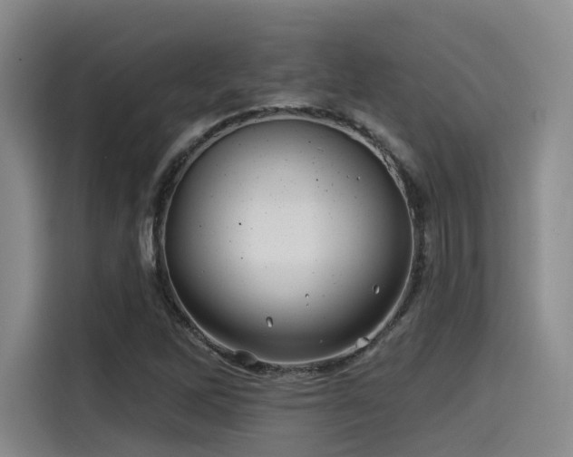X0000115531262200911061433