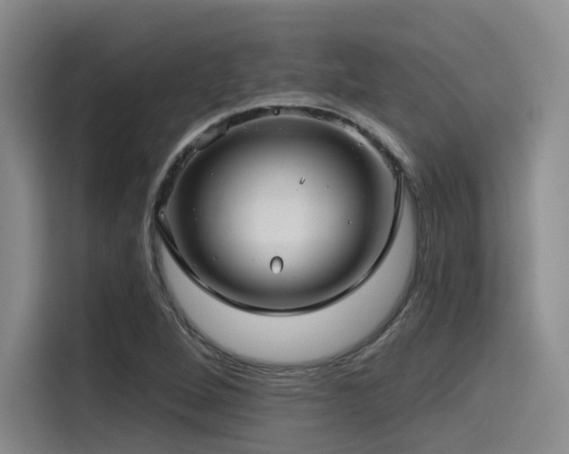 X0000115531264200911061433
