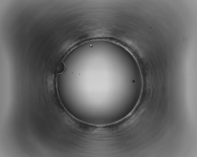 X0000115531265200911061433