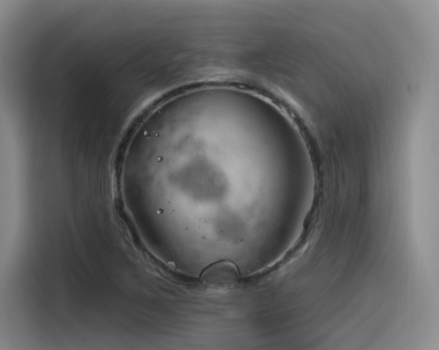 X0000115531267200911061433