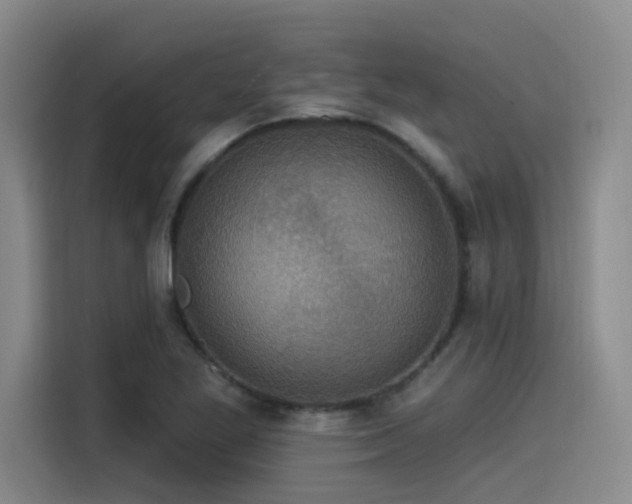X0000115531269200911061433