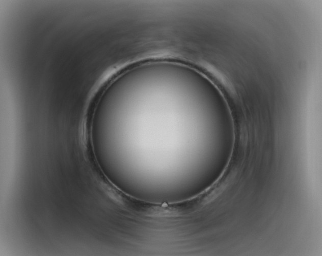 X0000115531270200911061433