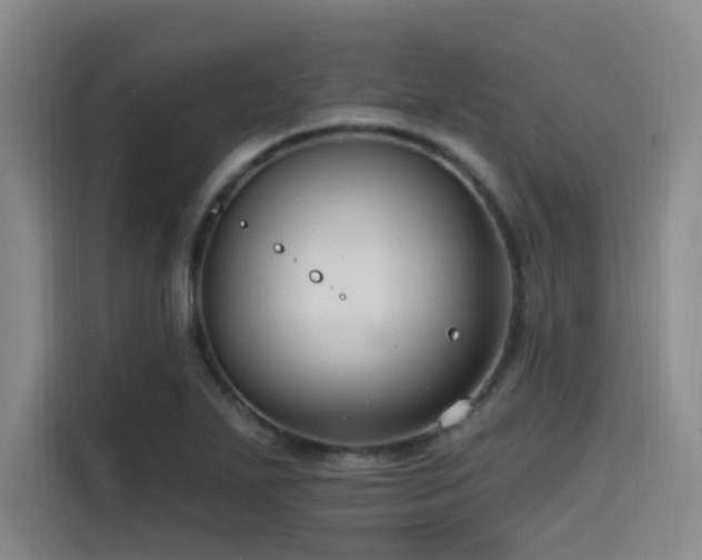X0000115531271200911061433