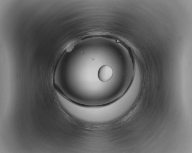 X0000115531273200911061433
