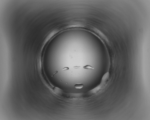 X0000115531274200911061433